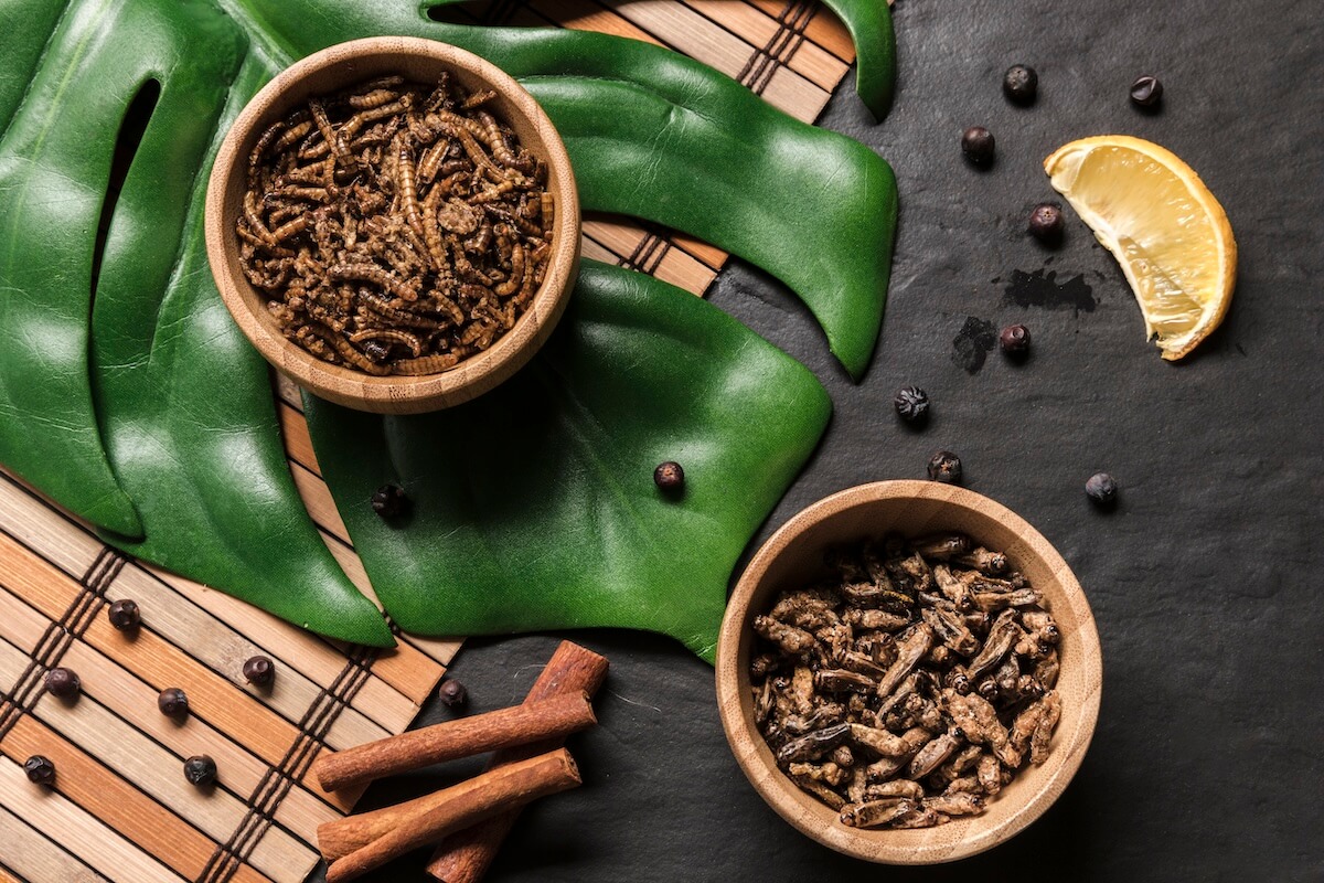 Ashwagandha for Longevity and Daily Health Optimization: A Science-Based Guide